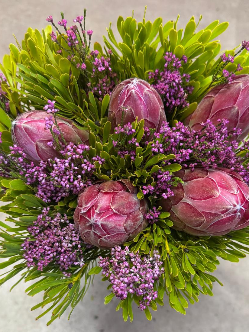 Jumbo Protea Bouquet