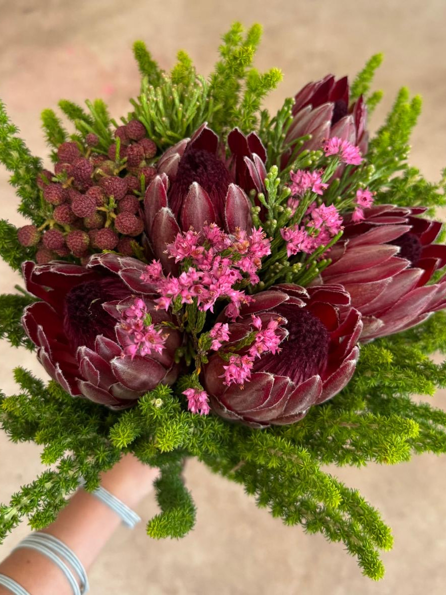 Jumbo Protea Bouquet