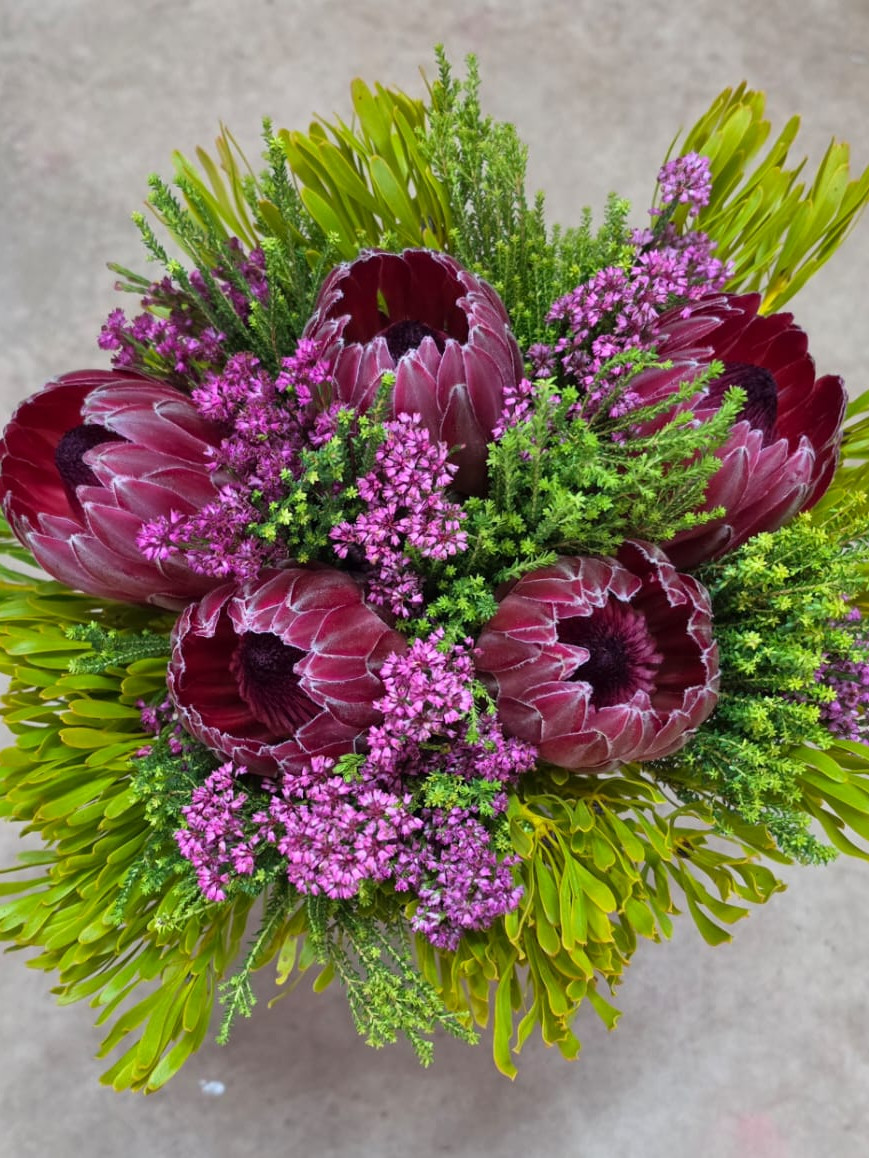 Jumbo Protea Bouquet