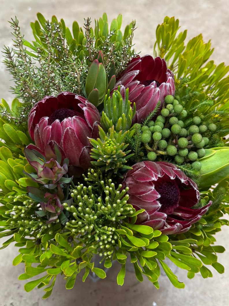 Protea Carousel - Premium