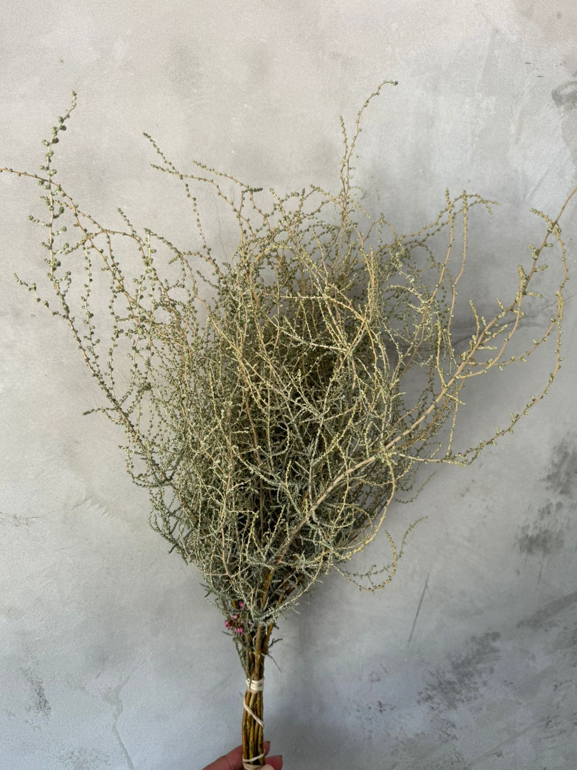 Stoebe - Natural