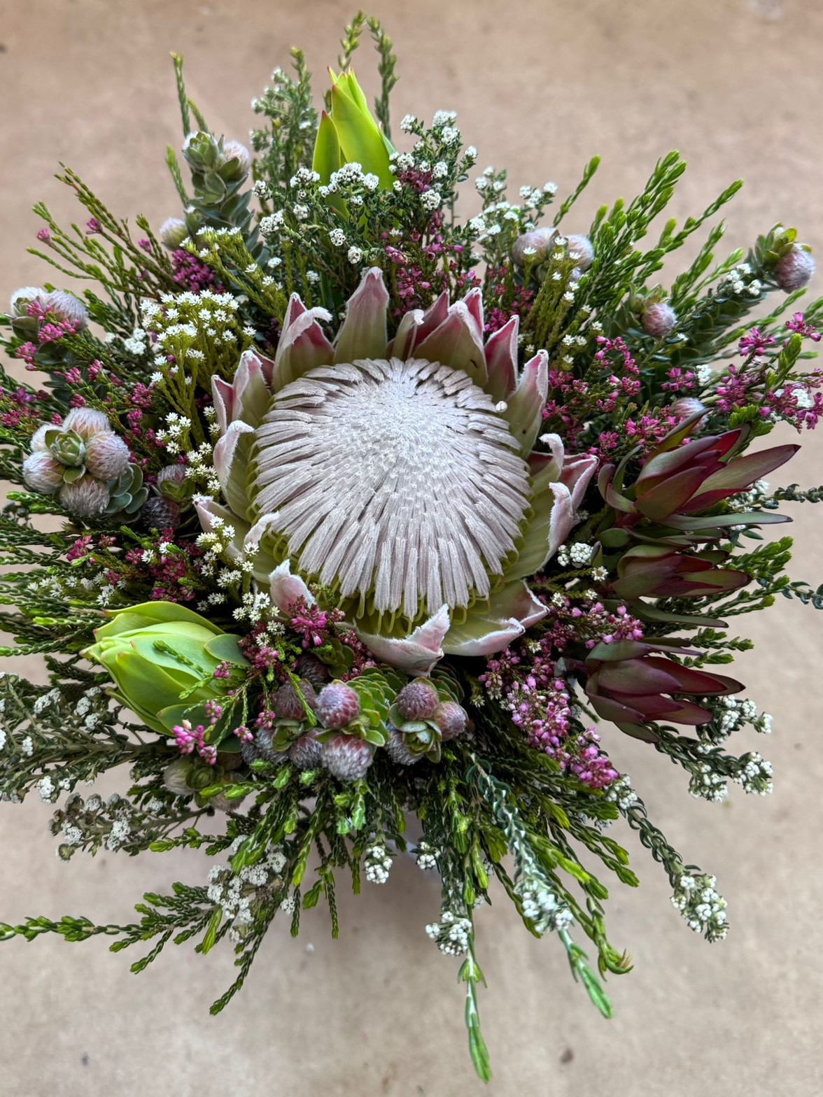 King Protea SFB