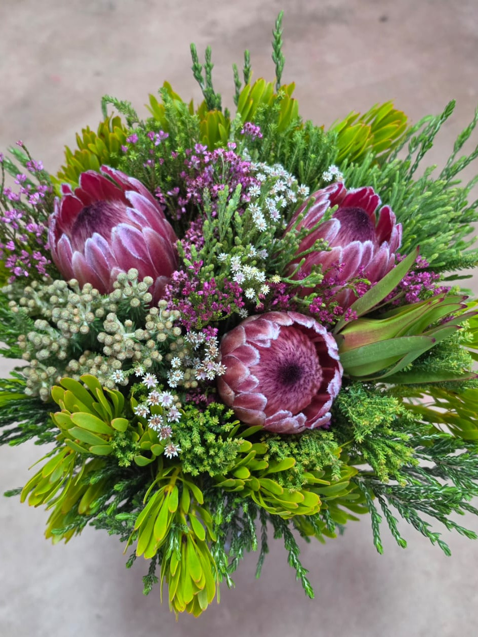 Protea Carousel - Natural