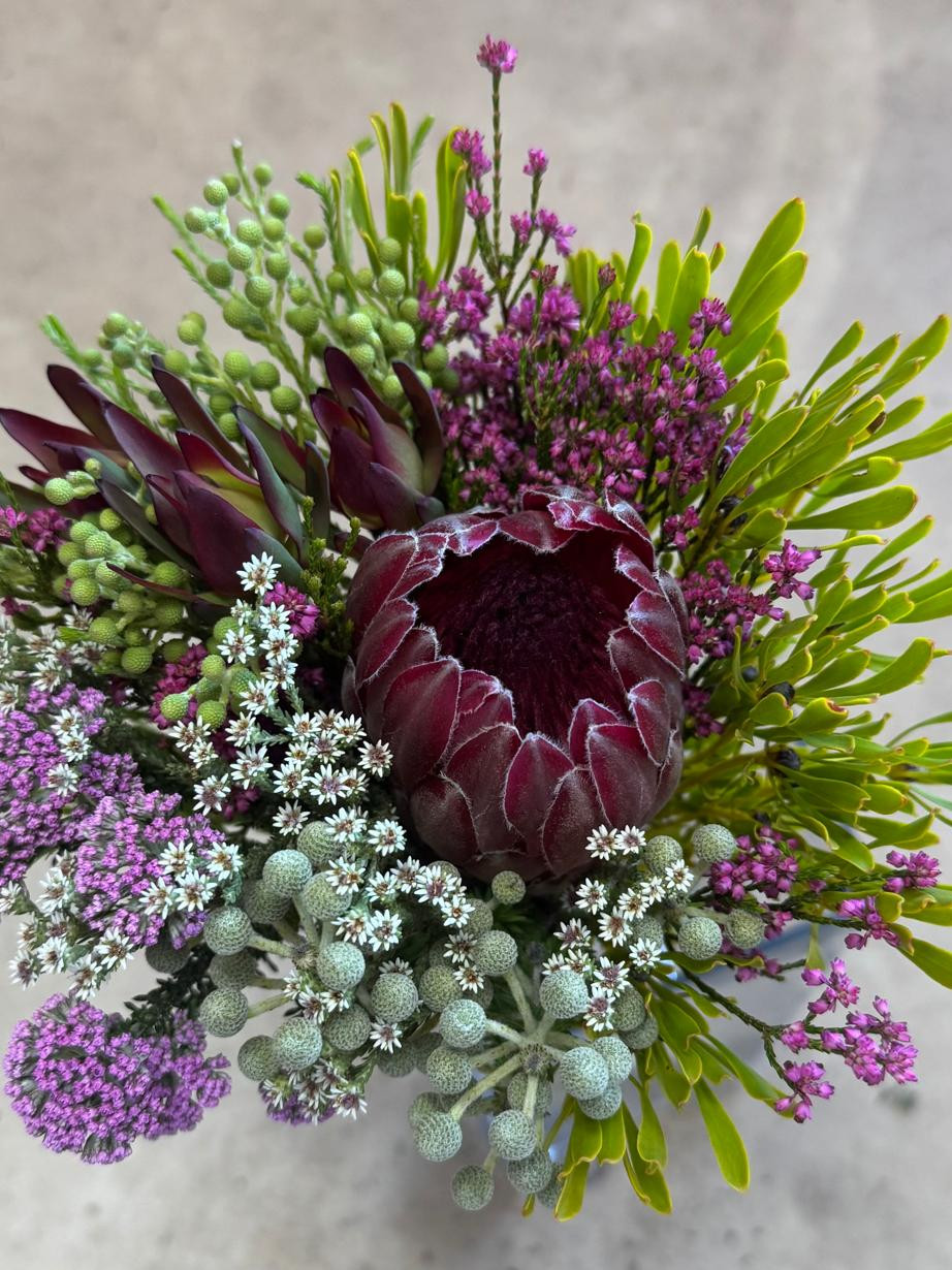 Protea SFB - Natural