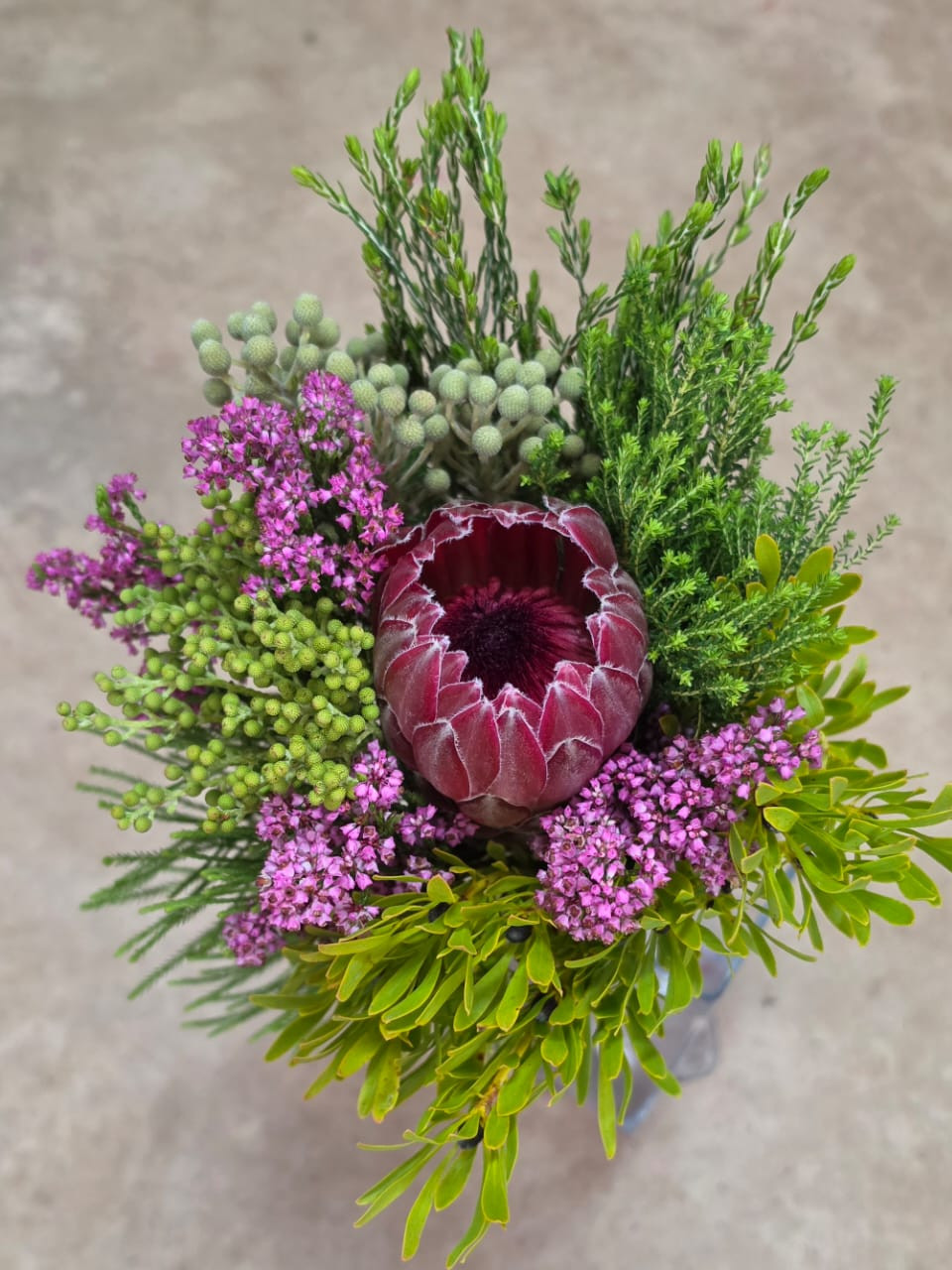 Protea SFB - Natural