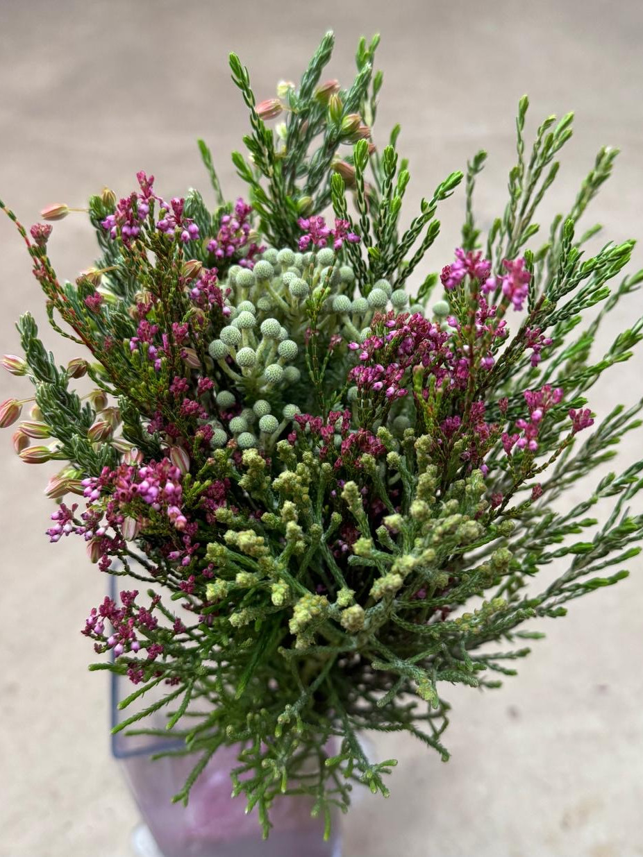 Mini Green Mix