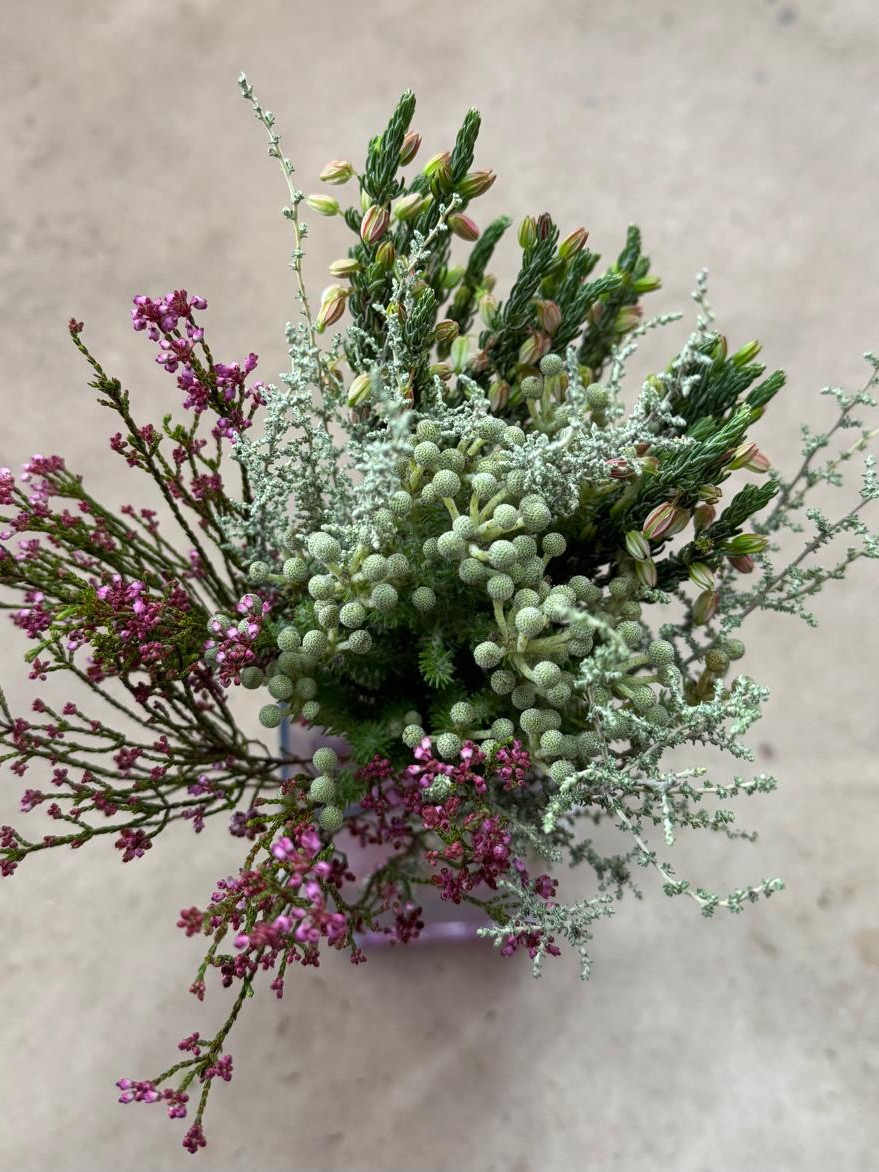 Mini Nature Mix