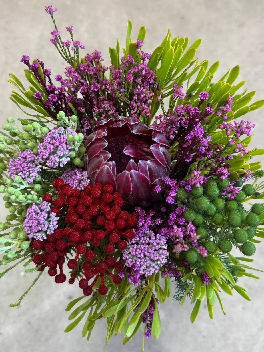 Protea SFB - Tinted