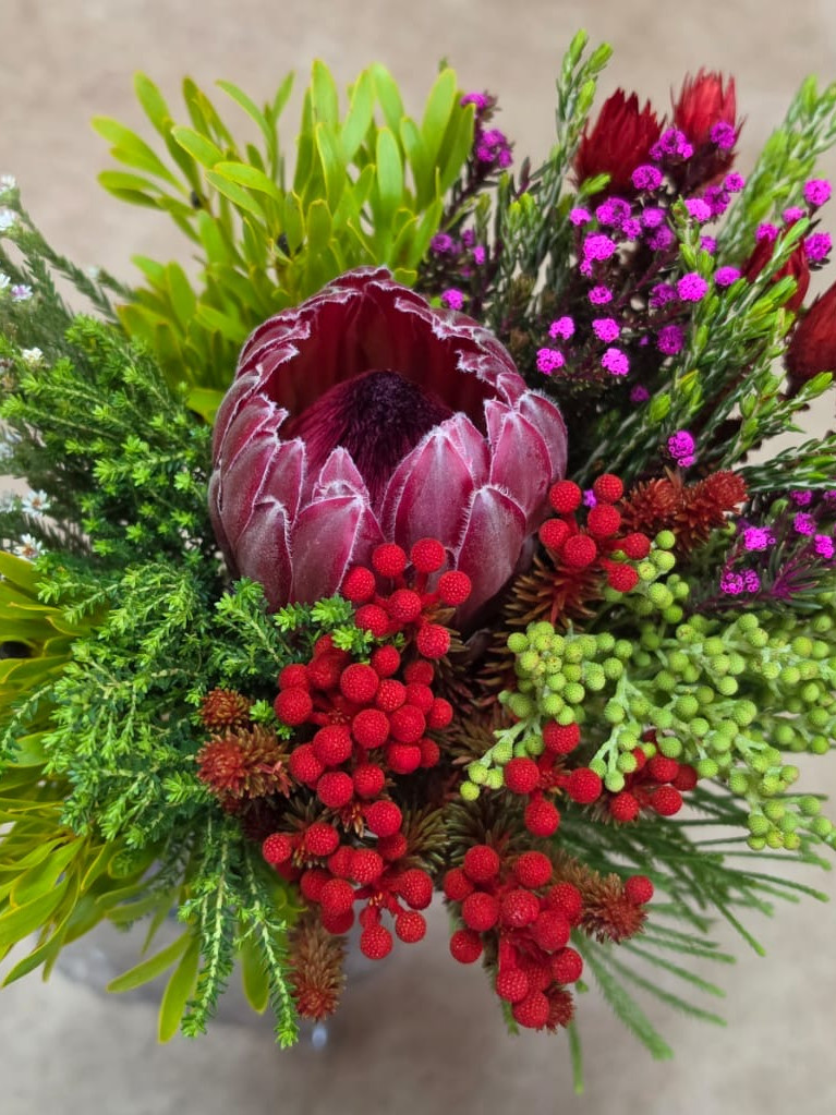 Protea SFB - Tinted