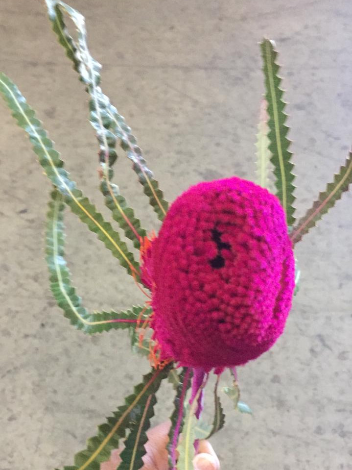 Prionotes - Cerise