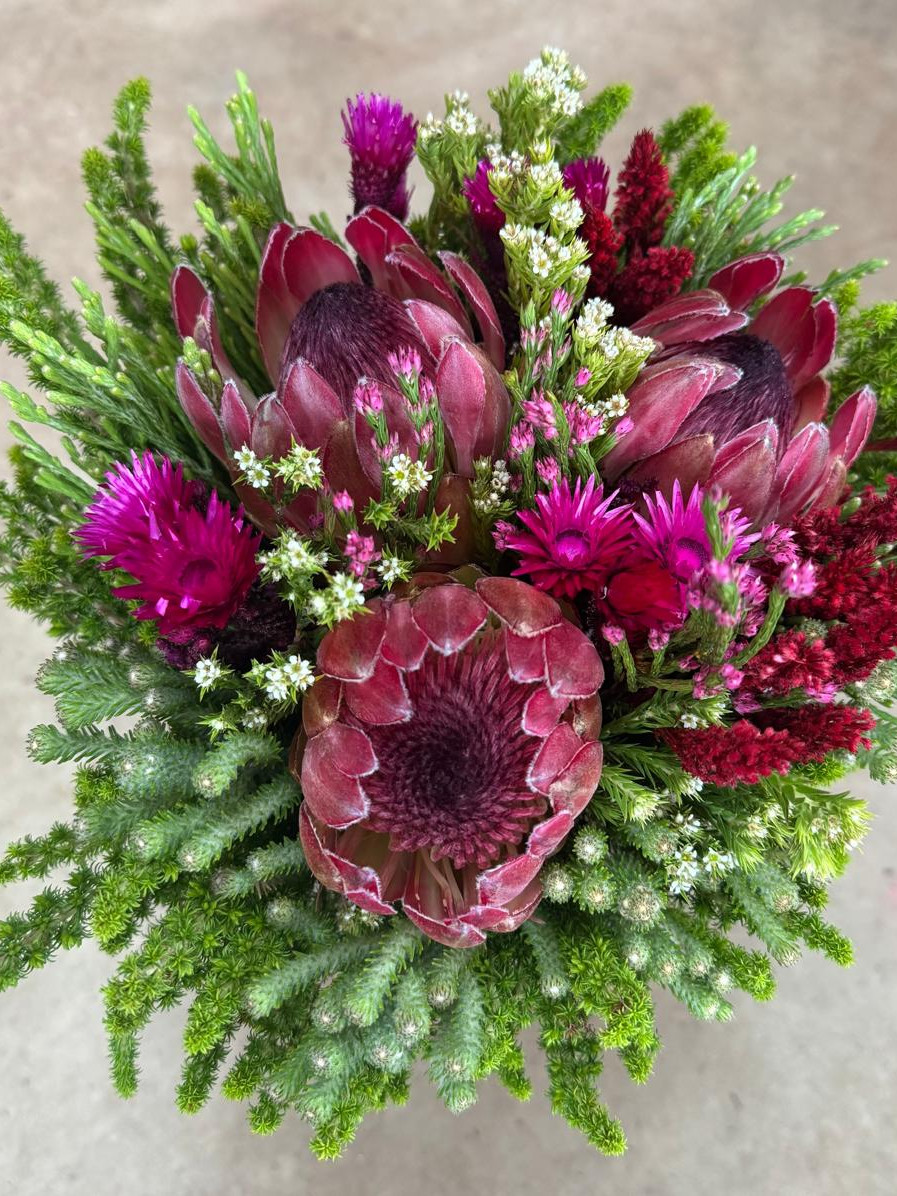 Protea Carousel - Tinted