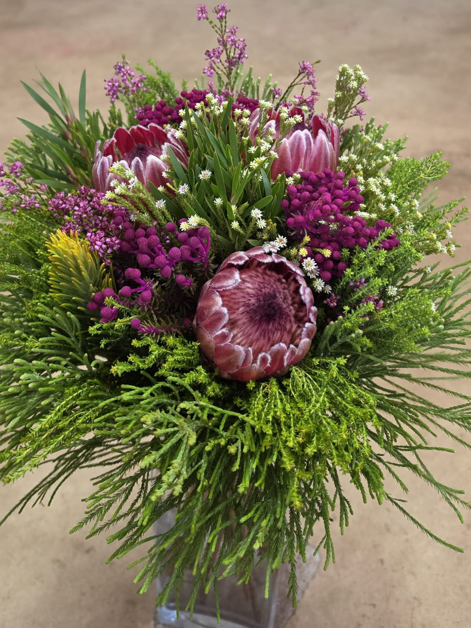 Protea Carousel - Tinted