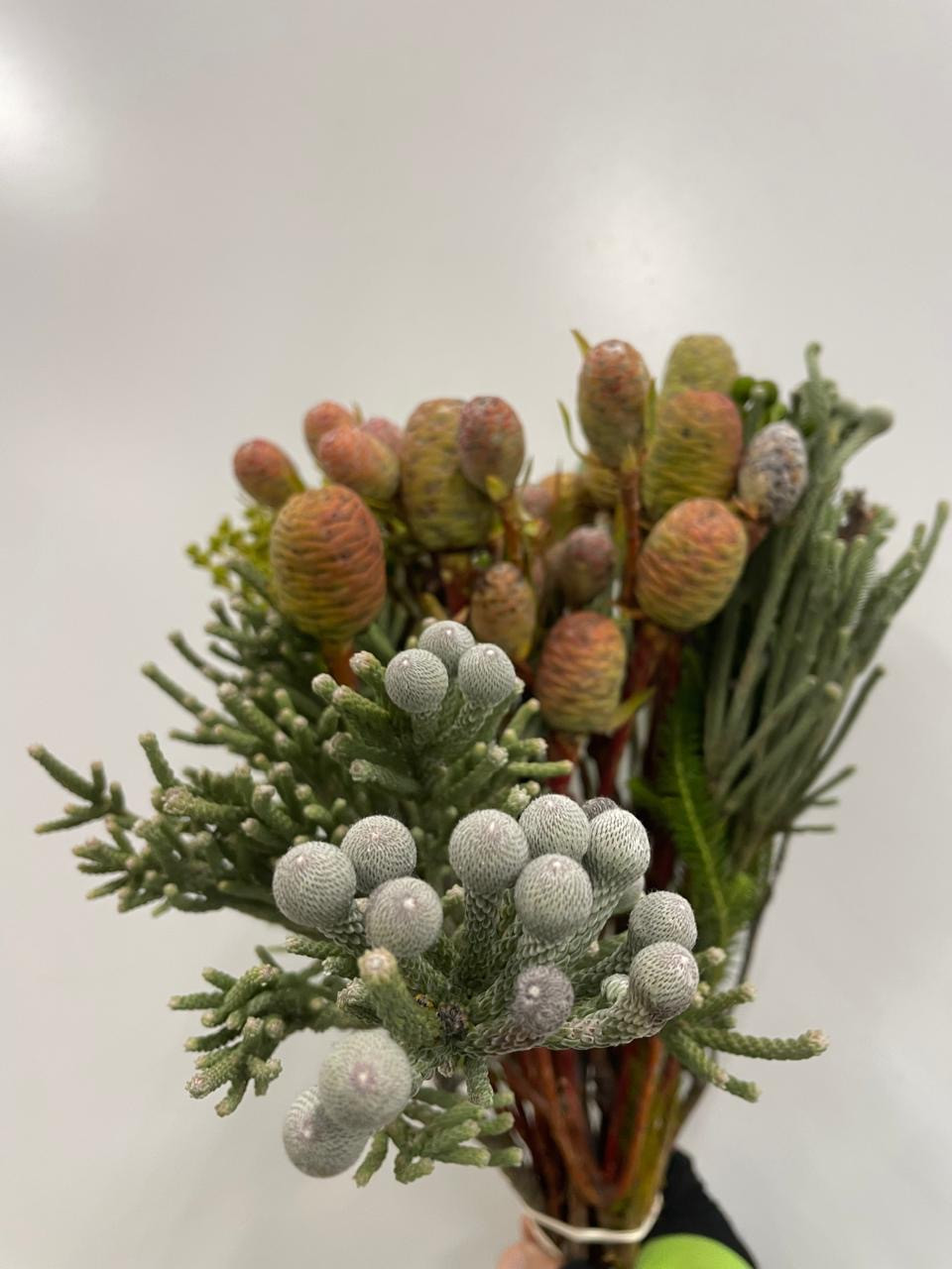Cone Mix