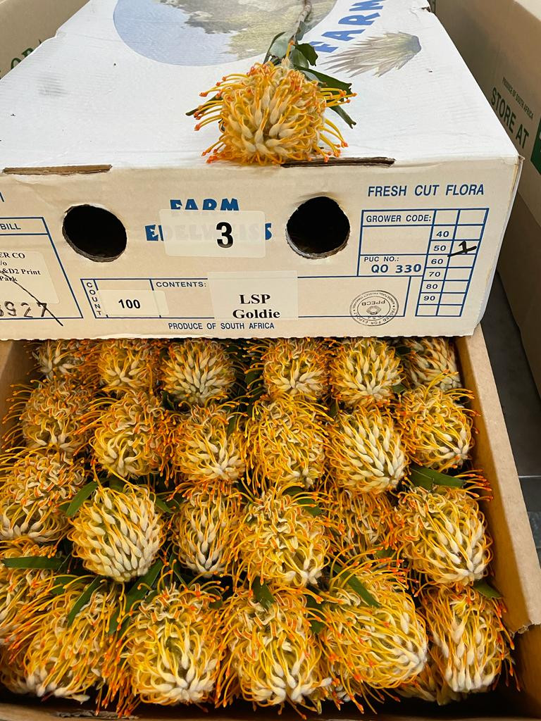 Xmas - White Bouquet