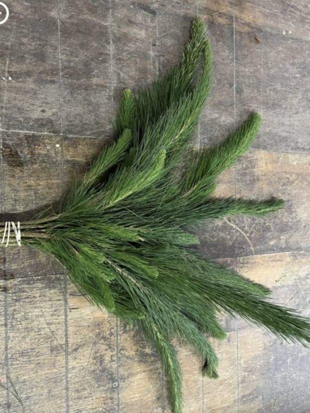 Pine Green - Natural